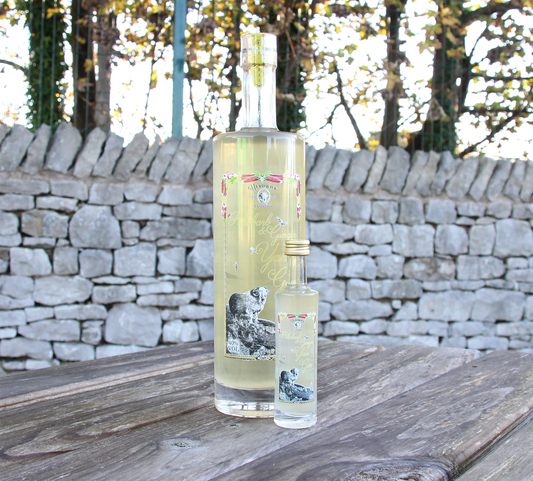 Rhubarb & Ginger Yan Gin by Herdwick Distillery